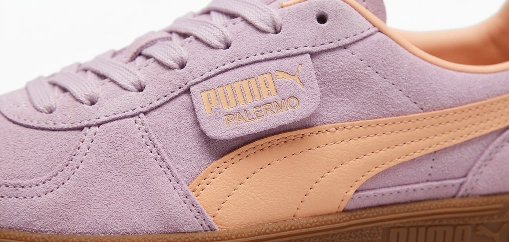 Buty Damskie Puma Palermo Pudrowy Fioletowy Pomarańczowy Zamsz